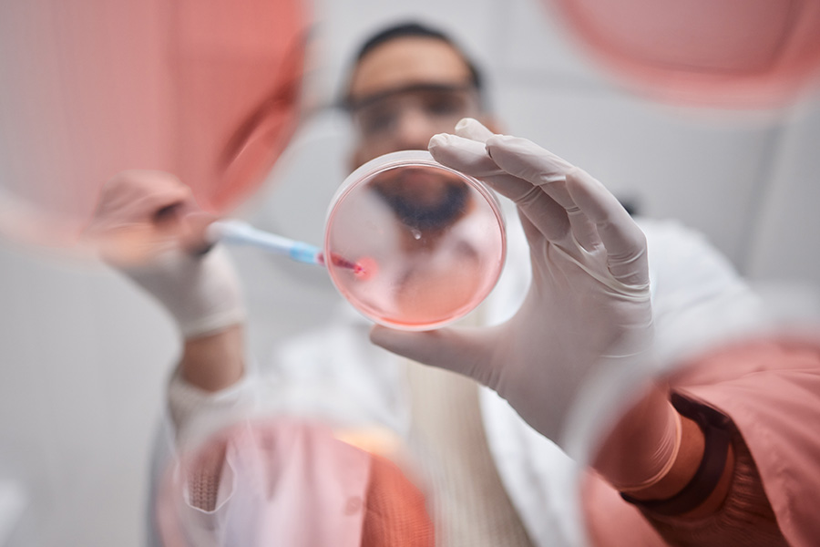 scientist holding a petri dish syringing