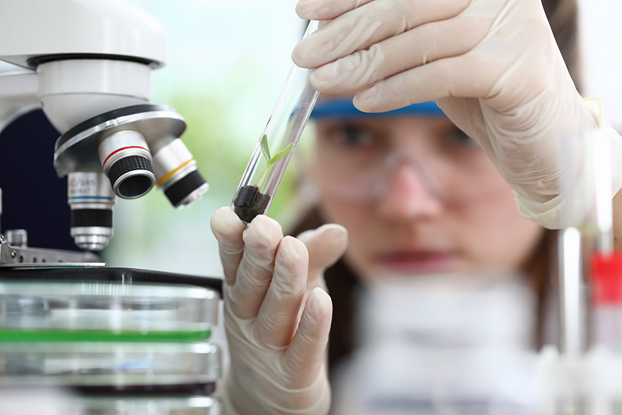 A gloved scientist examines a test tube containing a small plant and soil under a microscope in a laboratory setting.