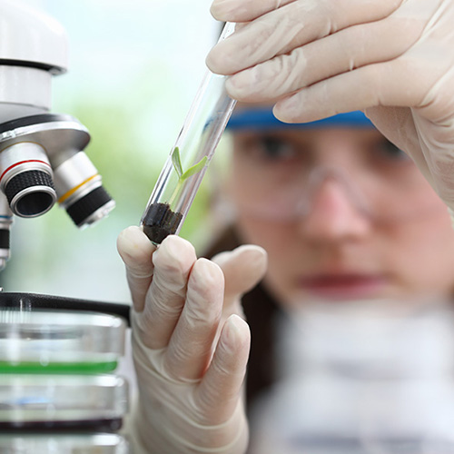 close up shot of scientist holding testtube to microscope